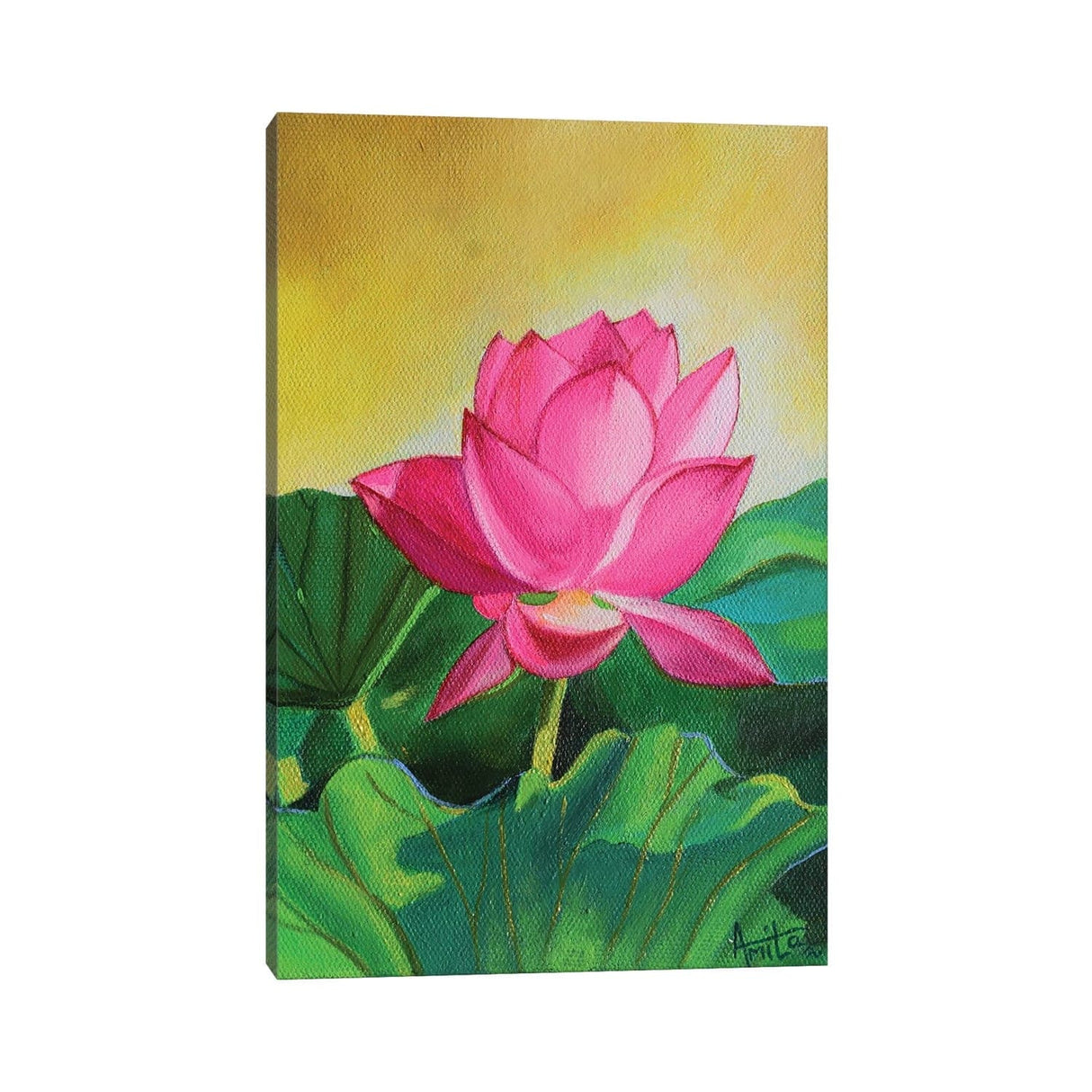 iCanvas "Sunkissed Pink Lotus" by Amita Dand Canvas Print