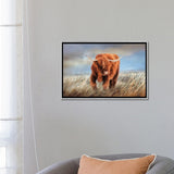 iCanvas "The Highlander" by Kelley Parker Framed
