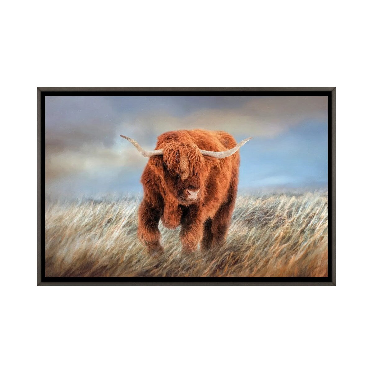 iCanvas "The Highlander" by Kelley Parker Framed