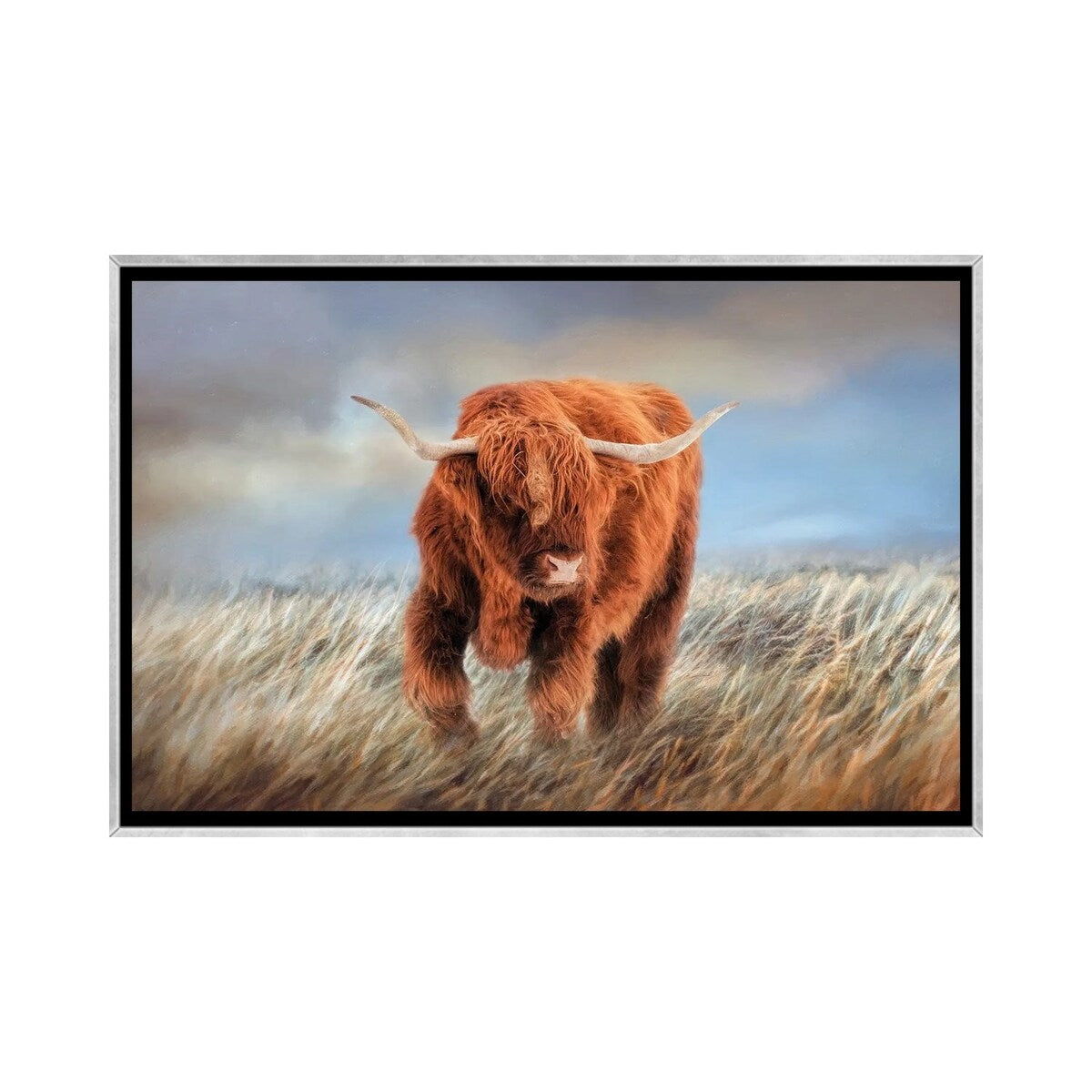 iCanvas "The Highlander" by Kelley Parker Framed