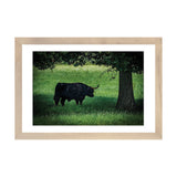 iCanvas "The Longhorn" by Chris Lord