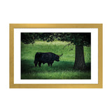 iCanvas "The Longhorn" by Chris Lord