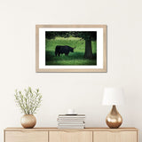 iCanvas "The Longhorn" by Chris Lord