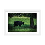 iCanvas "The Longhorn" by Chris Lord