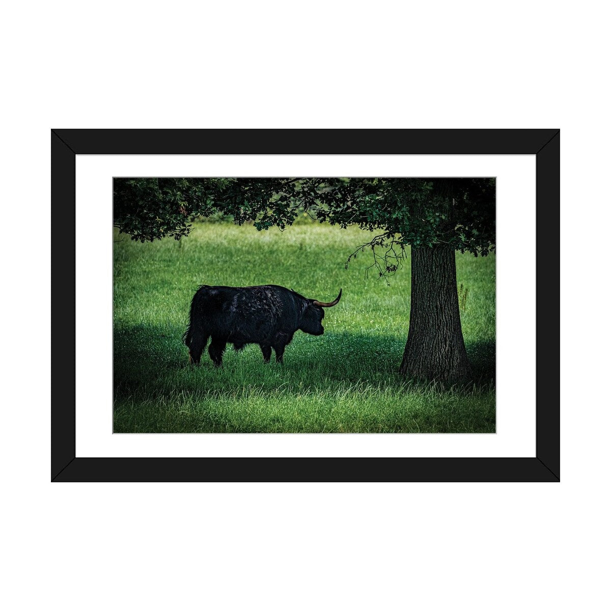 iCanvas "The Longhorn" by Chris Lord