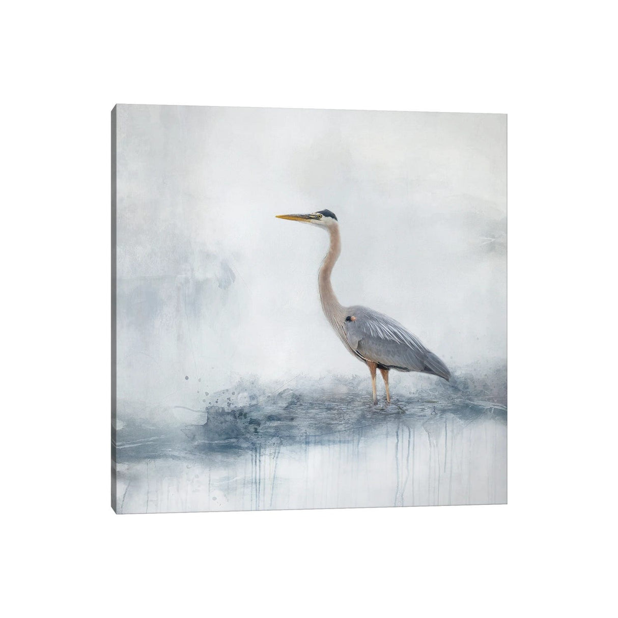 iCanvas "The Mighty Blue" by Kelley Parker Canvas Print