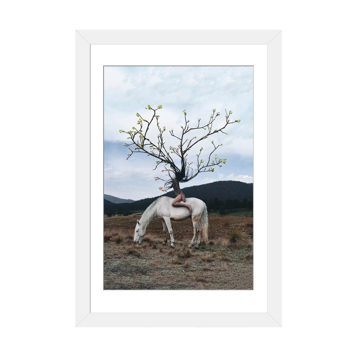 iCanvas "Tree-Hair Girl" by Gabriel Avram