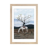 iCanvas "Tree-Hair Girl" by Gabriel Avram