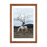 iCanvas "Tree-Hair Girl" by Gabriel Avram