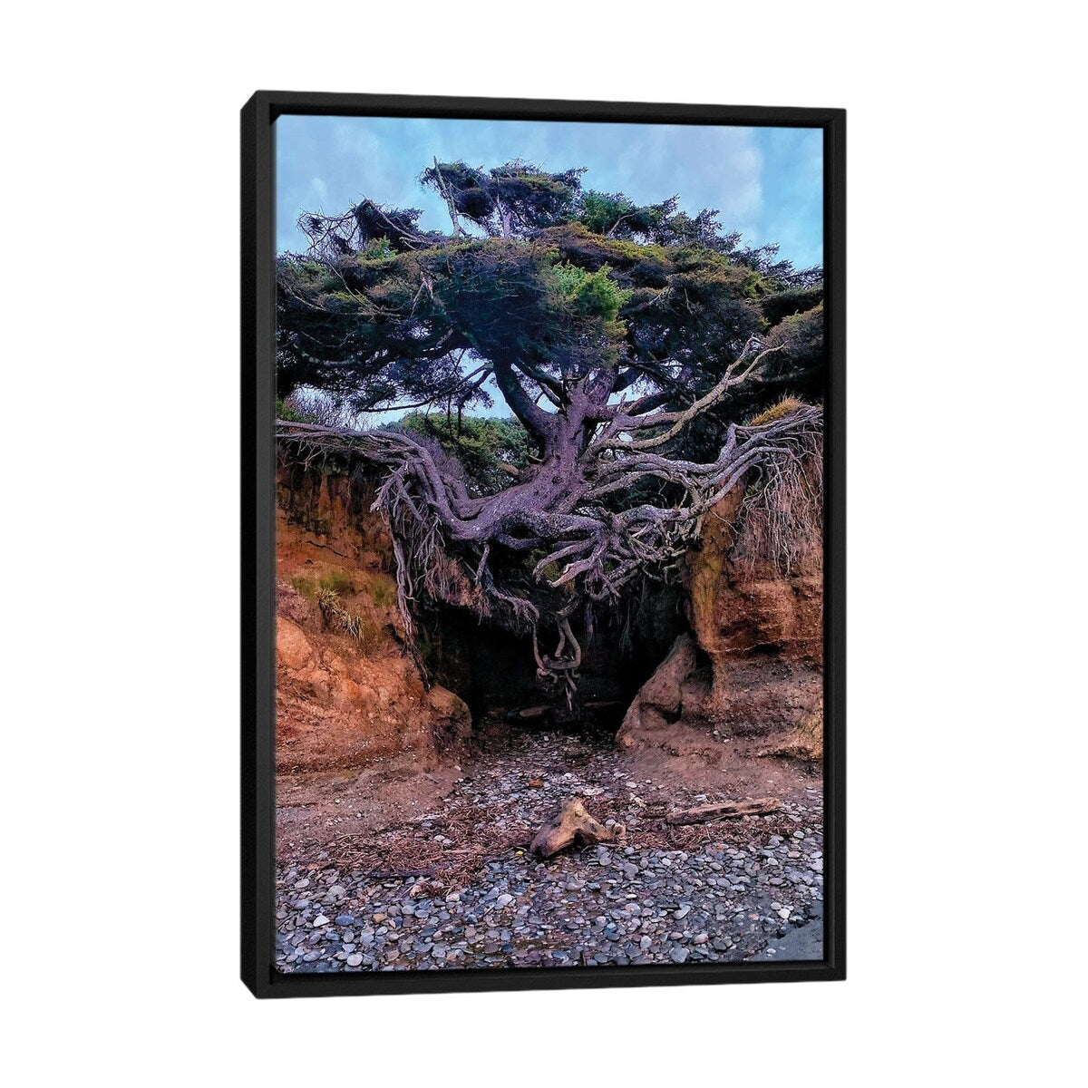 iCanvas "Tree Of Life" by Jitabebe Framed Canvas Print