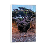 iCanvas "Tree Of Life" by Jitabebe Framed Canvas Print