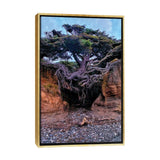 iCanvas "Tree Of Life" by Jitabebe Framed Canvas Print