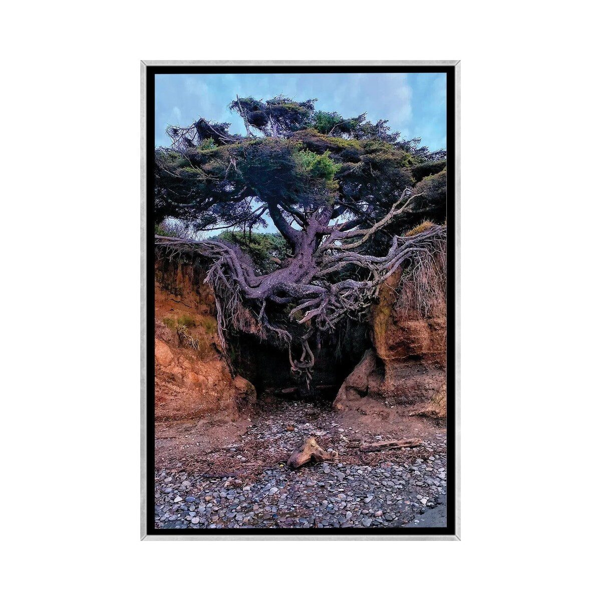 iCanvas "Tree Of Life" by Jitabebe Framed