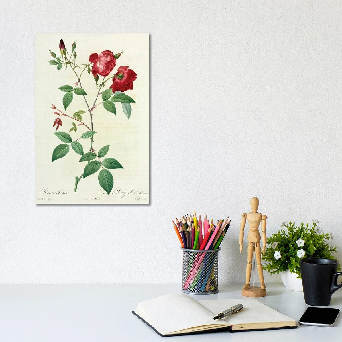 iCanvas "Velvet China Rose, Painting By Pierre Joseph Redoute (1759-1840)" by Natural History Museum (UK) Canvas Print