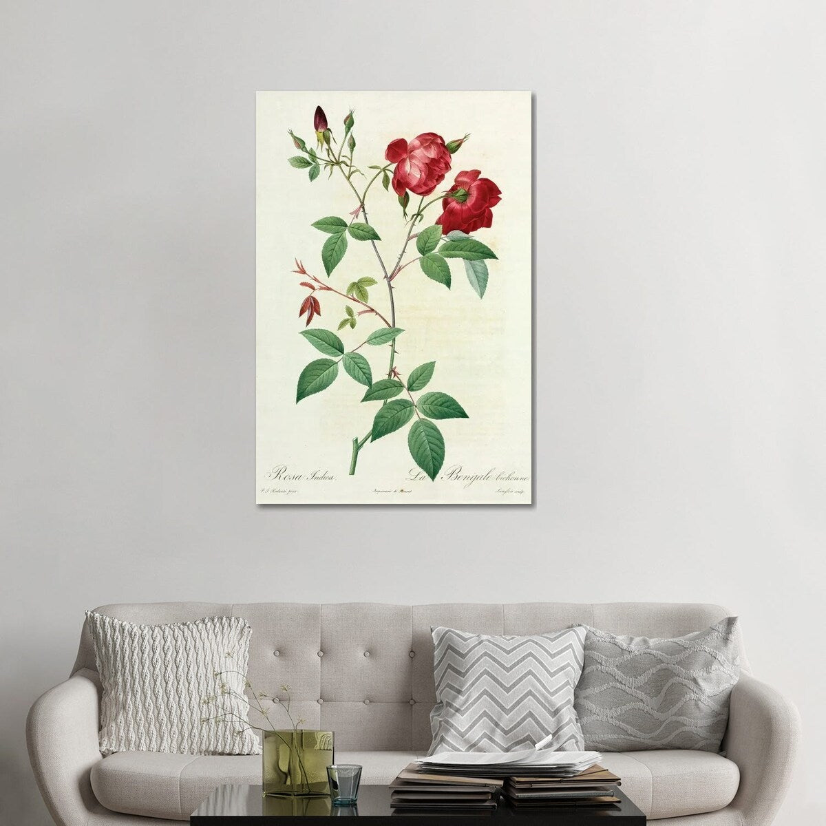 iCanvas "Velvet China Rose, Painting By Pierre Joseph Redoute (1759-1840)" by Natural History Museum (UK) Canvas Print