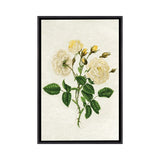 iCanvas "Vintage Yellow Roses" by Amelie Vintage Co Framed