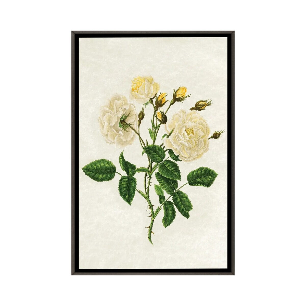 iCanvas "Vintage Yellow Roses" by Amelie Vintage Co Framed