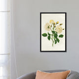 iCanvas "Vintage Yellow Roses" by Amelie Vintage Co Framed