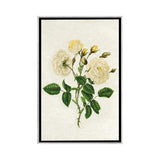 iCanvas "Vintage Yellow Roses" by Amelie Vintage Co Framed