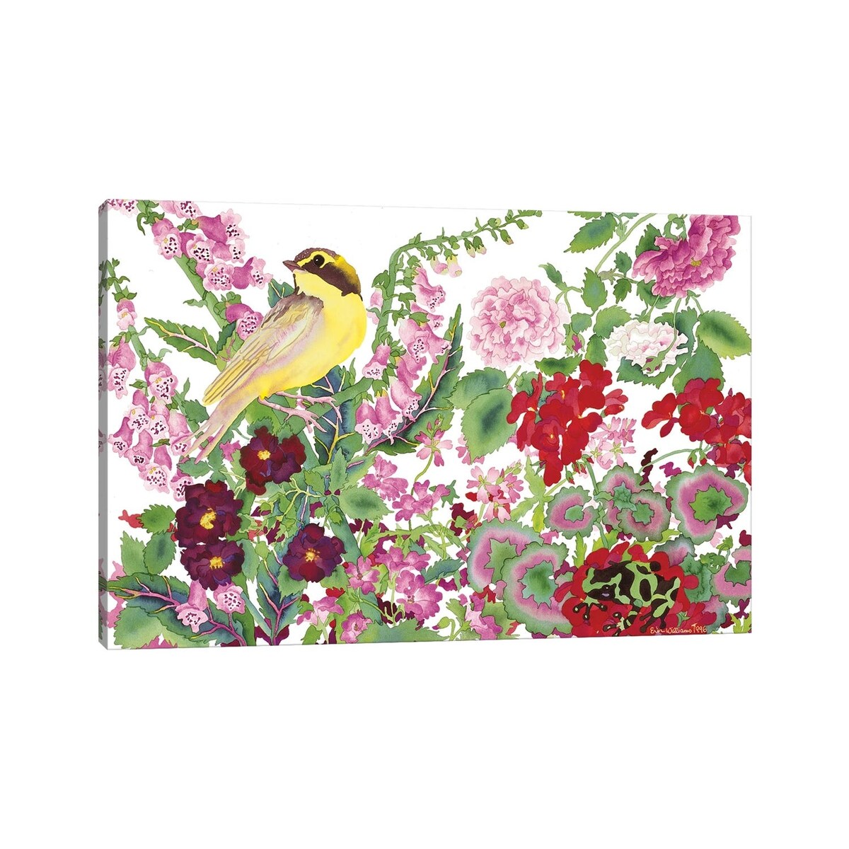 iCanvas "Warbler With Frog" by Carissa Luminess Canvas Print