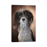 iCanvas "Wet Dog" by Kyra Wilson Canvas Print