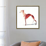 iCanvas "Whippet" by SAEIART Framed
