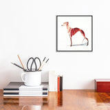 iCanvas "Whippet" by SAEIART Framed