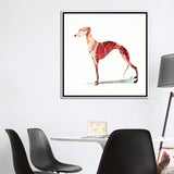iCanvas "Whippet" by SAEIART Framed