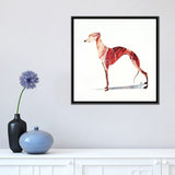 iCanvas "Whippet" by SAEIART Framed