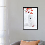 iCanvas "White F0x And Red Cardinal" by GEN Z Framed