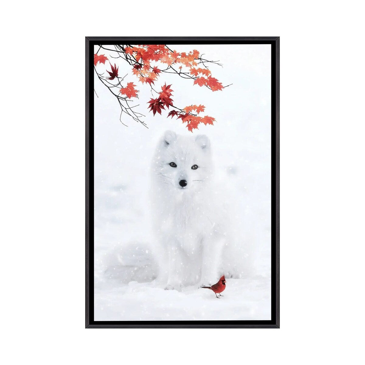 iCanvas "White F0x And Red Cardinal" by GEN Z Framed