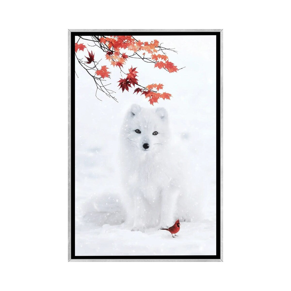 iCanvas "White F0x And Red Cardinal" by GEN Z Framed