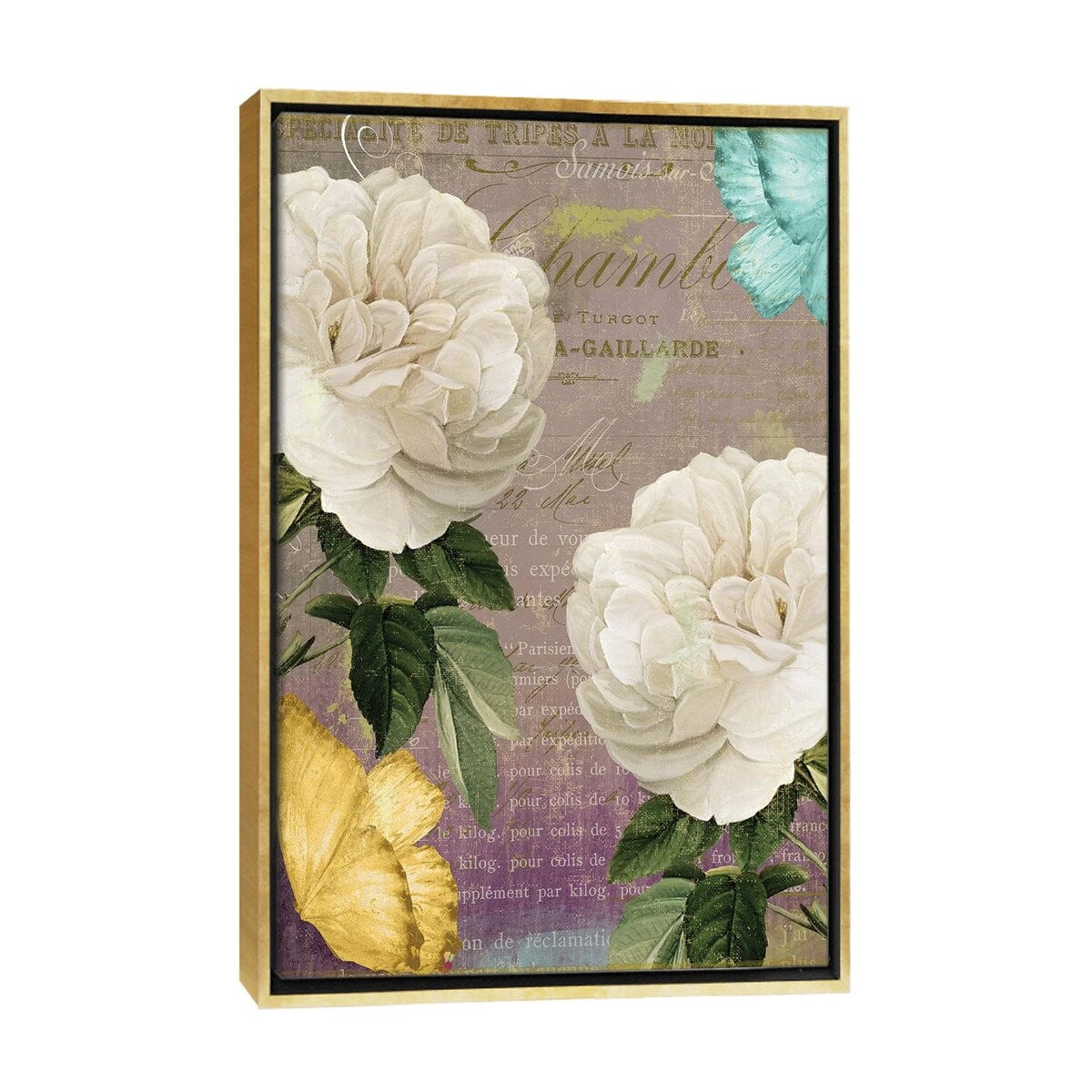 iCanvas "White Roses" by Color Bakery Framed