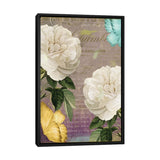 iCanvas "White Roses" by Color Bakery Framed