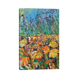 iCanvas "Wild Meadow" by Adriana Dziuba Canvas Print