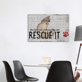 iCanvas "You Can't Buy Love - Cat" by Jennifer Pugh Canvas Print