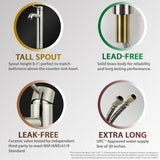 iSpring Bathroom Faucet Brushed Nickel Vessel Sink Single Handle/One Hole Lavatory Faucet