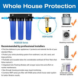 iSpring Reusable Spin-down Sediment Water Filter, Auto Flushing Module