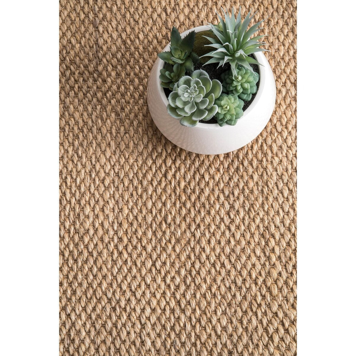 Oak Casual Sisal Area Rug