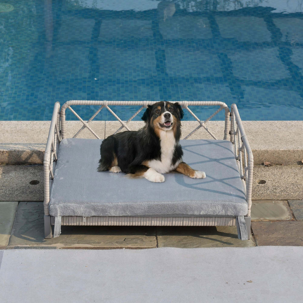 wicker pet bed Rattan Dog Sofa Bed